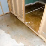 Basement and Crawl Space Flooding in Metro Atlanta: Causes, Cleanup, and Prevention
