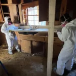 Mold Remediation in Metro Atlanta: Signs, Process, Cost, and Health Risks
